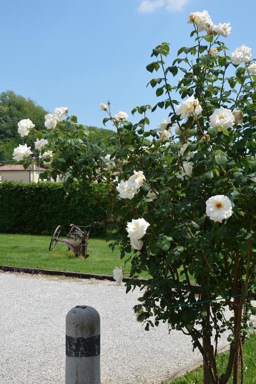 Agriturismo Morgan Montebelluna Exteriér fotografie