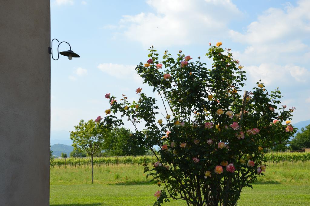 Agriturismo Morgan Montebelluna Exteriér fotografie