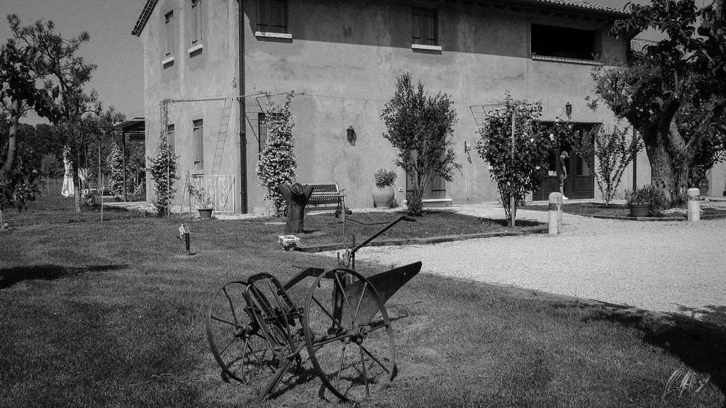 Agriturismo Morgan Montebelluna Exteriér fotografie